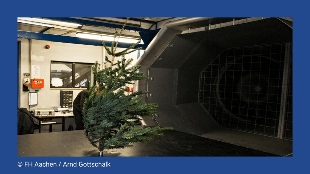 Weihnachtsbaum im Windkanal